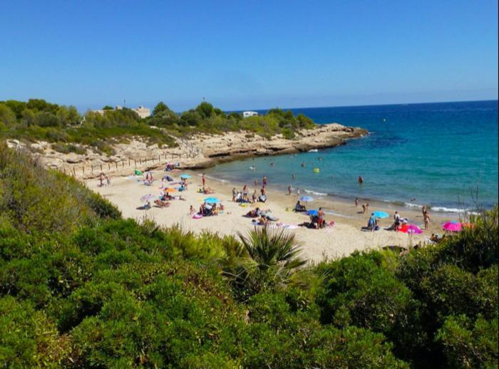 Estudio I Ideal Para Parejas En La Playa Alguer L'Ametlla de Mar Exteriör bild